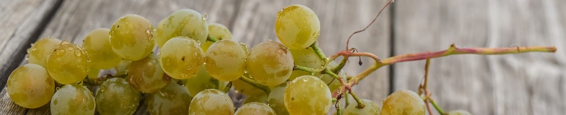 Moscato