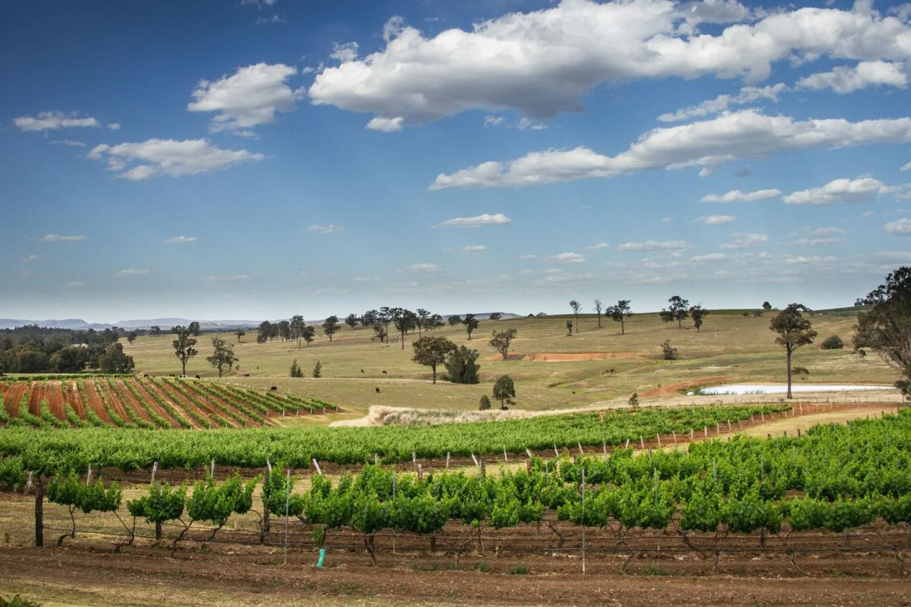 wijnland-australie