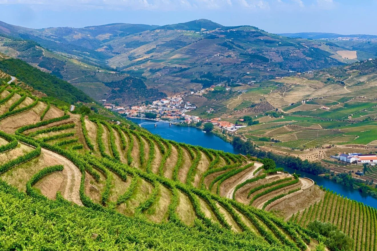 wijnland-portugal