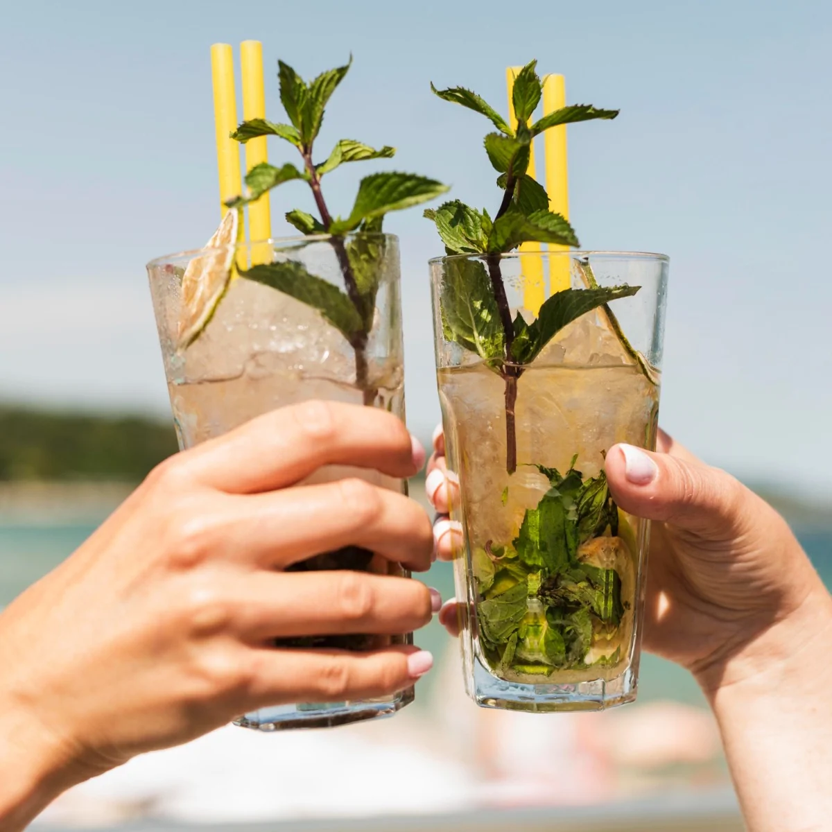 Bacardi Mojito