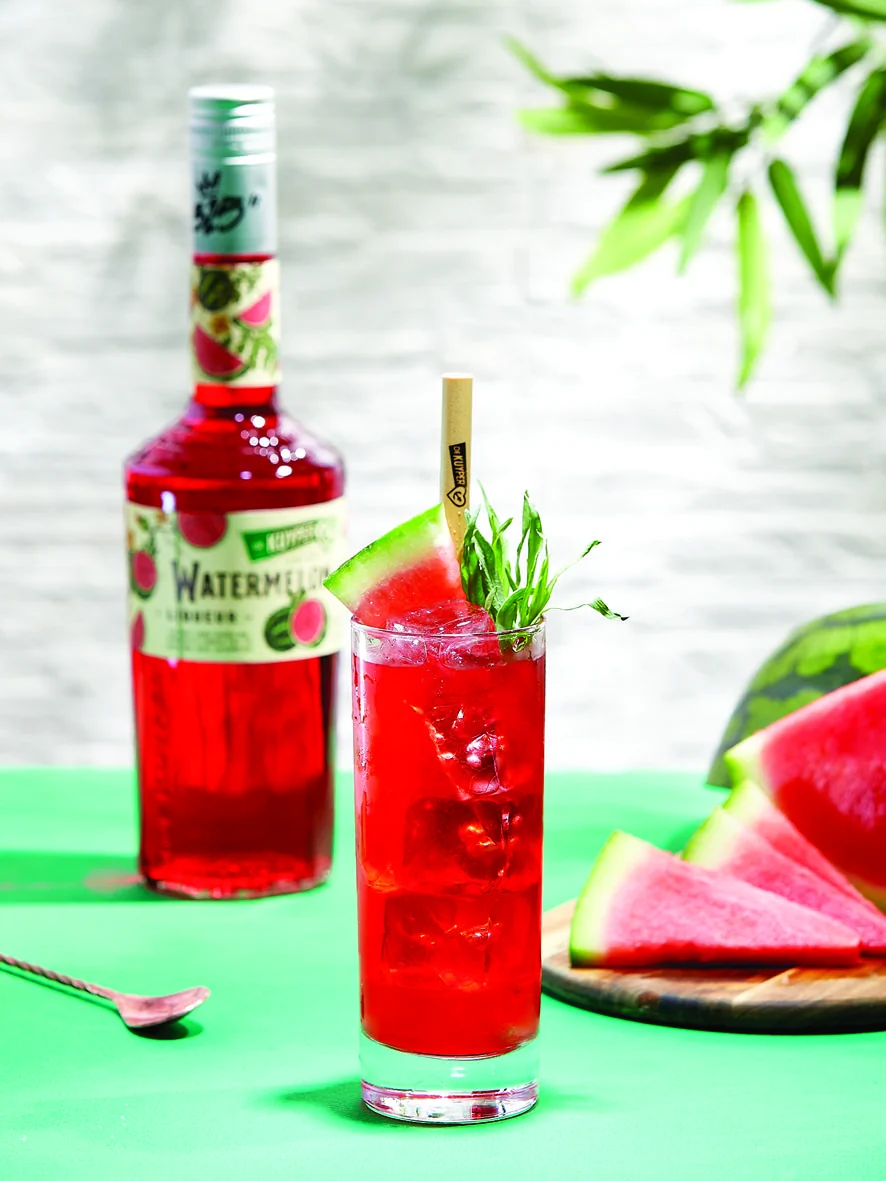 Watermelon Fizz
