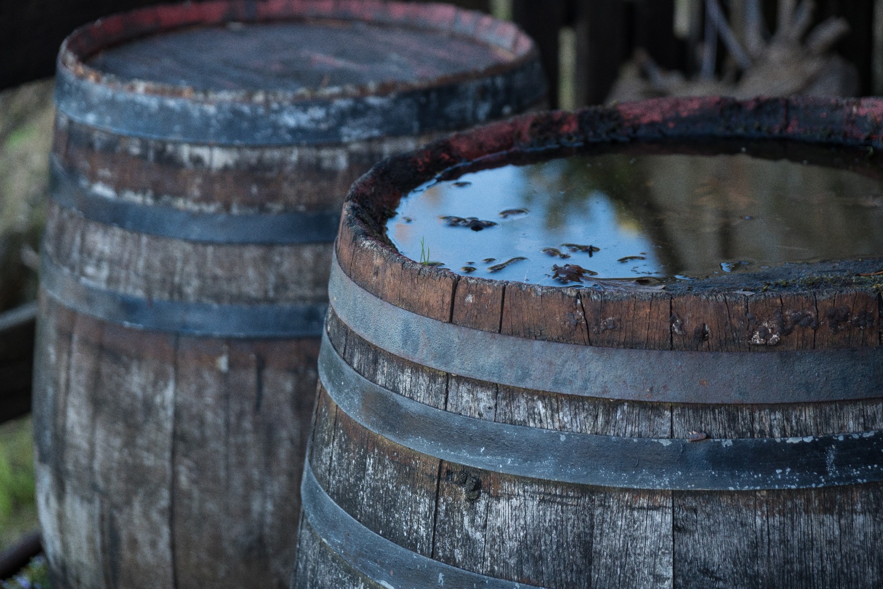Whisky vat